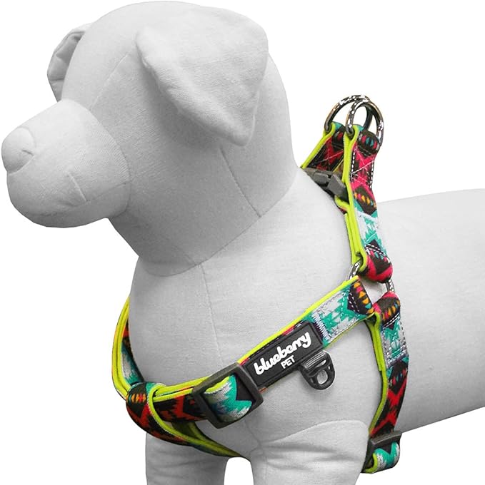 Blueberry Pet 2 Colors Soft & Comfy Step-in Southwestern Vintage Tribal Print Padded Dog Harness, Chest Girth 23.5" - 29.5", Extravagant Green, M/L, Adjustable Harnesses for Dogs