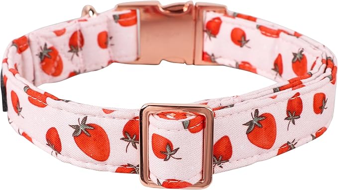 Lionet Paws Dog Collar, Comfortable Adjustable Cute Collar with Metal Buckle for Male Female Dogs Gift, Strawberry Pattern, Small, Neck 10-16 inches