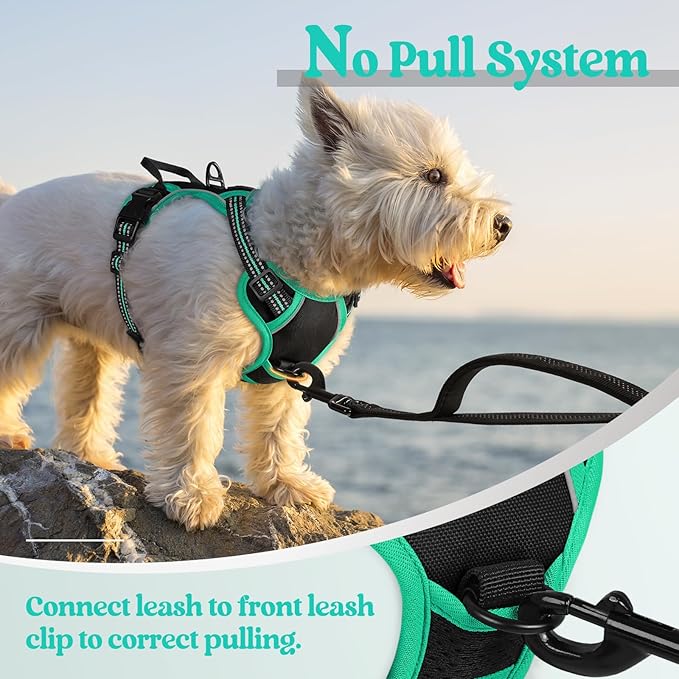 rabbitgoo Dog Harness, No-Pull Pet Harness with 2 Leash Clips, Adjustable Soft Padded Dog Vest, Reflective No-Choke Pet Oxford Vest with Easy Control Handle for Large Dogs, Black & Turquoise, X-Small
