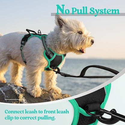 rabbitgoo Dog Harness, No-Pull Pet Harness with 2 Leash Clips, Adjustable Soft Padded Dog Vest, Reflective No-Choke Pet Oxford Vest with Easy Control Handle for Large Dogs, Black & Turquoise, X-Small
