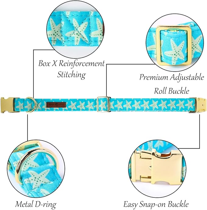 Lionet Paws Boy Dog Collar, Comfortable Adjustable Cute Yellow Starfish Collar with Metal Buckle for Male Dogs Gift, Small, Neck 10-16 inches