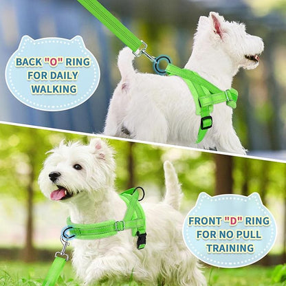 SlowTon No Pull Small Dog Harness and Leash Set, Puppy Soft Vest Harness Neck & Chest Adjustable, Reflective Lightweight Harness & Anti-Twist Pet Lead Combo for Small Medium Dogs (G-Front Clip,XXS)