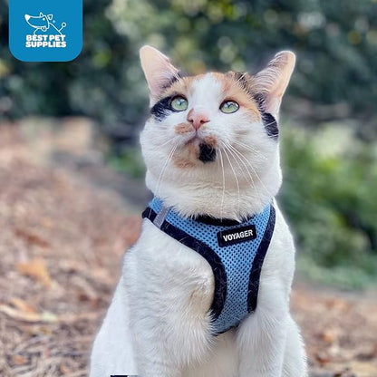Voyager Step-in Air Dog Harness - All Weather Mesh, Reflective, No Pull Harness for Small, Medium Dogs, Cats - Secure with Hook & Loop Fastener, Buckle, Double D-Rings - Baby Blue/Black Trim, L
