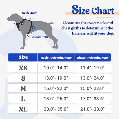 rabbitgoo Dog Harness, No-Pull Pet Harness with 2 Leash Clips, Adjustable Soft Padded Dog Vest, Reflective No-Choke Pet Oxford Vest with Easy Control Handle for Large Dogs, Blue & Orange, S