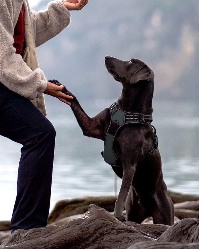 Joytale No Pull Dog Harness for Extra Large Dogs, Reflective Pet Vest with Front Clip, Adjustable Soft Padded Harnesses with Easy Control Handle for Training and Walking, Gray, XL
