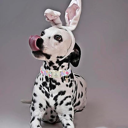 Lionheart glory Easter Dog Collar Colorful Collar for X-Small Dog Collars Easter Egg Print Dog Collars Spring Female or Male Pet Gift Adjustable Heavy-Duty Puppy Collar Holiday
