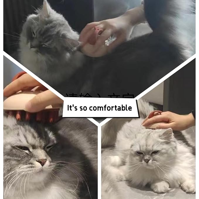 Dual Brush Head Multi-Function Cat brush，Combing, Bathing, massaging, 1 brush for 3 purposes，Cats, dogs and other animals Be common