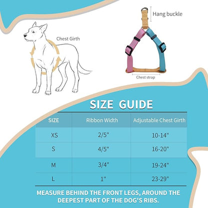 Tri-Color Dog Harness and Purple Pink Gradient Shock Absorbing Dog Leash Set,Step-in Freedom Dog Vest Harness,Strong Padded Handle to Help Stop Pulling for Small Dog Walking and Traning