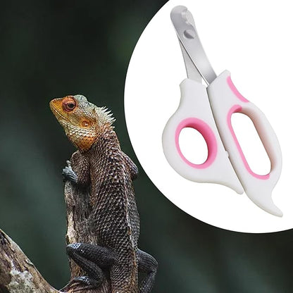 Bearded Dragon Nail Clippers,Stainless Steel Bearded Dragon Toe Nail Clippers with Precise Angled Edges (Pinky White)