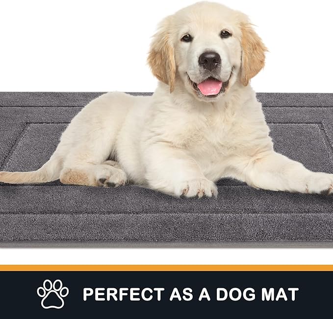 PURRUGS Dirt Trapper Door Mat 20in x 31.5in, Non-Slip/Skid Machine Washable Entryway Rug, Dog Door Mat, Super Absorbent Welcome Mat for Muddy Wet Shoes and Paws, Grey
