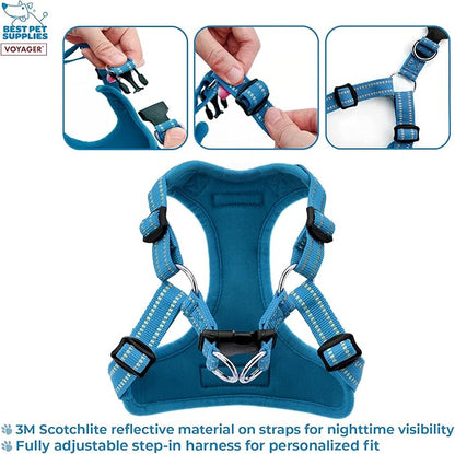 Best Pet Supplies Voyager Adjustable Dog Harness with Reflective Stripes for Walking, Jogging, Heavy-Duty Full Body No Pull Vest with Leash D-Ring, Breathable All-Weather - Harness (Turquoise), S