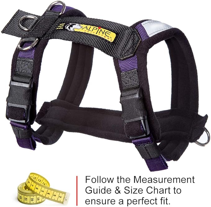 Urban Trail Adjustable Harness