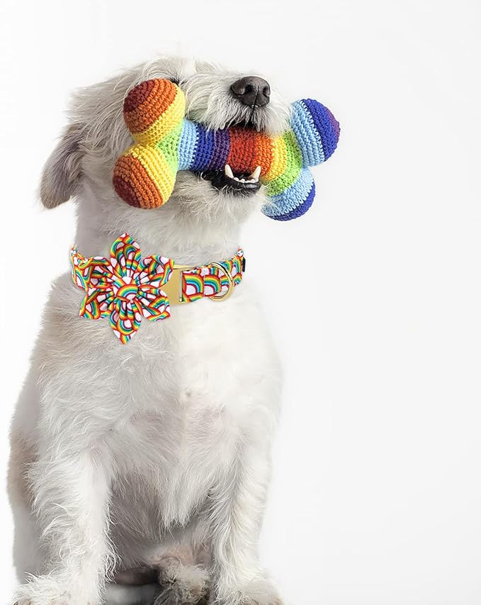Lionet Paws Rainbow Female Dog Collar with Flower, Soft and Comfortable Adjustable LGBT Pride Collar for Dogs, Medium, Neck 13.5-22 inches