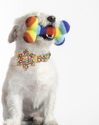 Lionet Paws Rainbow Female Dog Collar with Flower, Soft and Comfortable Adjustable LGBT Pride Collar for Dogs, Medium, Neck 13.5-22 inches