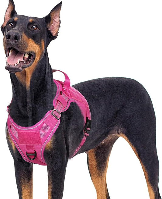 rabbitgoo Dog Harness for Large Dogs No Pull, Tactical Service Dog Vest with Molle and Control Handle, Adjustable and Reflective Military Pet Harness for Easy Walking and Training, Rose Red, XL