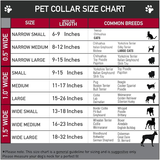 Dog Collar Plastic Clip The Mighty Thor Action Poses 15 to 26 Inches 1.0 Inch Wide