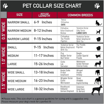 Dog Collar Plastic Clip The Mighty Thor Action Poses 15 to 26 Inches 1.0 Inch Wide