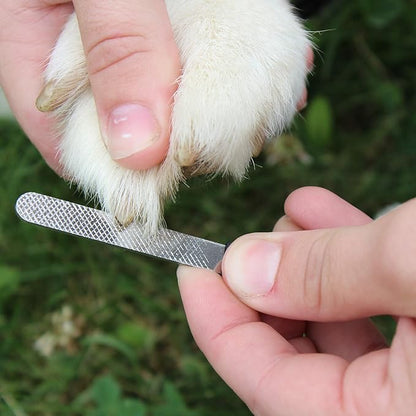 Professional Pet Heavy Duty Nail Clipper, Royal Blue, Large