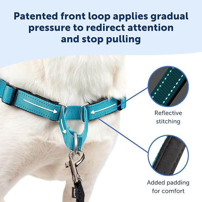PetSafe® Deluxe Easy Walk® Dog Harness, No Pull Harness, Stop Pulling, Great for Walking and Training, Comfortable Padding, for Small Dogs- Steel/Black, Small