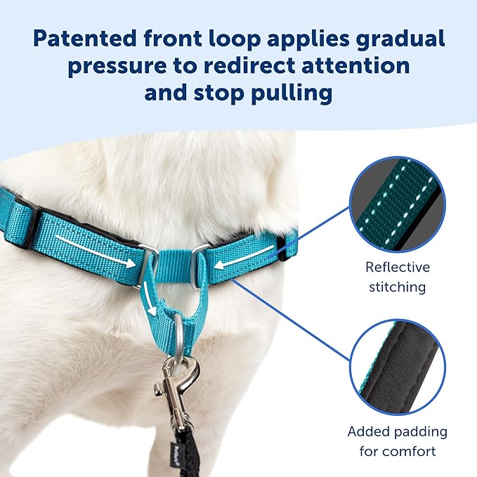 PetSafe Easy Walk Deluxe Dog Harness, No Pull Dog Harness – Perfect for Leash & Harness Training – Stops Pets from Pulling and Choking on Walks – Small, Rose