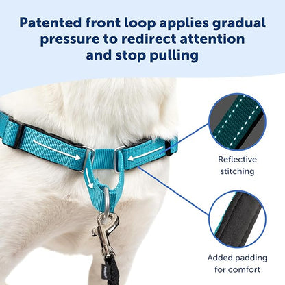 PetSafe Easy Walk Deluxe Dog Harness, No Pull Dog Harness – Perfect for Leash & Harness Training – Stops Pets from Pulling and Choking on Walks – Medium, Rose
