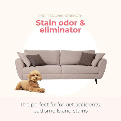 PAWFUME Premium Dog Spray (Lavender) + Stain & Odor Eliminator