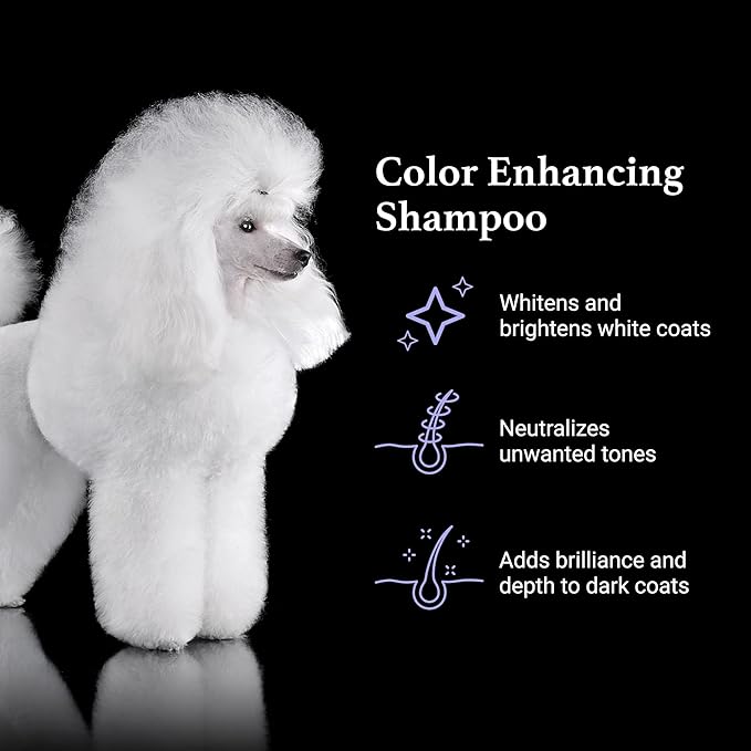 iGroom True Color Dog Shampoo, Luxury Pet Beauty Care, Enhance and Restore Natural Coat Color, Add Moisture, Made in USA, 1 gal