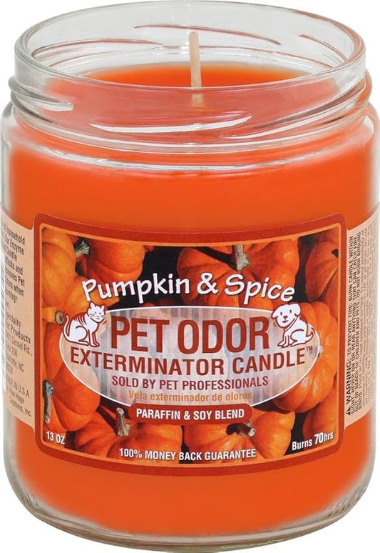 Pet Odor Exterminator Candle Pumpkin & Spice