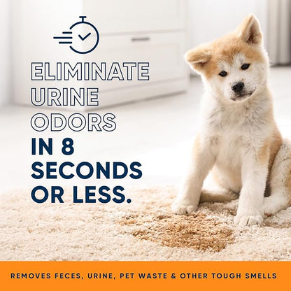 Orange Odor Eliminator | Pet Odor Deodorizer for Strong Odor | Enzyme Stain Cleaner for Cats, Dogs, and Pets | Great for Carpets, Furniture, Dog Kennels, and More (32 Fl Oz)