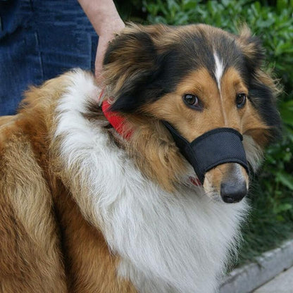 Nylon Dog Muzzle - Adjustable Quick Fit pet Muzzle Prevent from Biting Barking and Chewing for Small Medium Large Dogs,Black