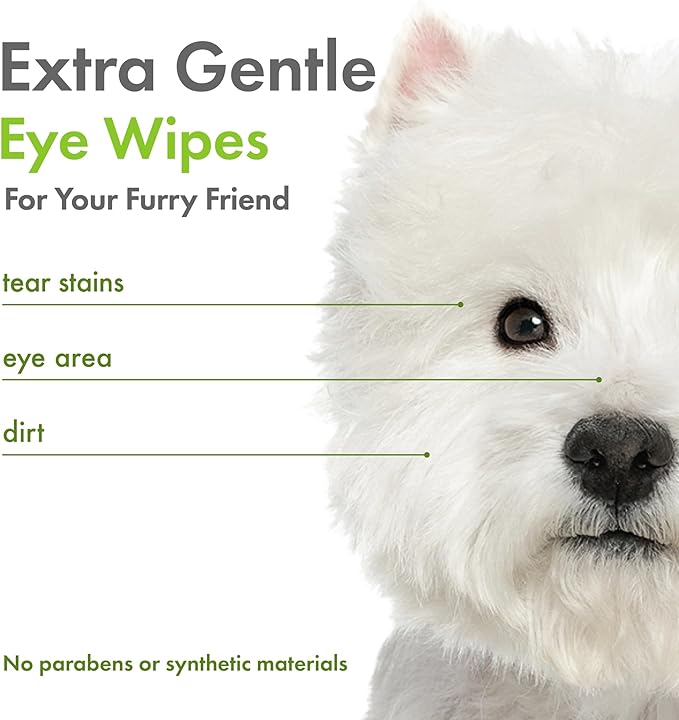 Petkin Plant-Based Eyewipes, 80 Wipes - Biobased & Sustainable Pet Eye Wipes for Dogs & Cats - Cleans Eye Area, Dirt & Tear Stains - Consciously Cleans & Conditions - Easy to Use - Unscented