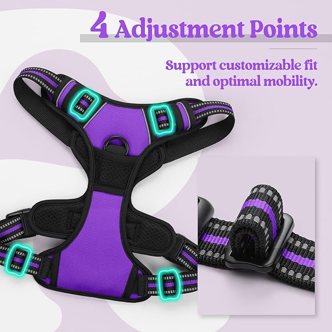rabbitgoo Dog Harness, No-Pull Pet Harness with 2 Leash Clips, Adjustable Soft Padded Dog Vest, Reflective No-Choke Pet Oxford Vest with Easy Control Handle for Small Dogs, Purple, S