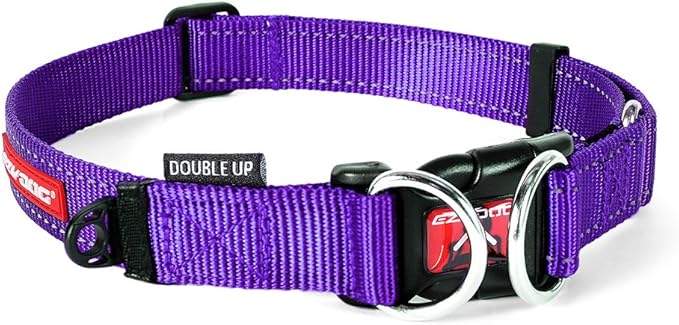 EzyDog Double Up Premium Nylon Dog Collar with Reflective Stitching - Double D-Rings for Superior Strength, Safety, and Comfortability - Non-Rusting and Includes an ID Attachment (Large, Purple)