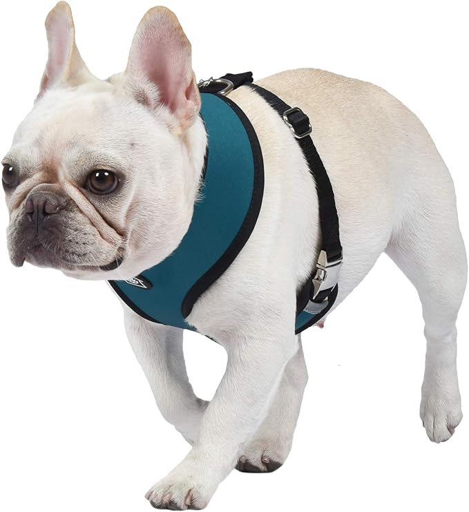 Now House for Pets by Jonathan Adler Leo Reversible Harness, Medium | Stylish, Fashionable, and Functional Way to Keep Your Dog Looking Great | Cute and Adorable Dog Accessories for Pets