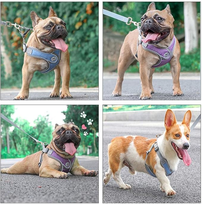 Step-in Dog Harness, Adjustable Reflective Small Dog Harness and Leash Set, Soft Air Mesh Vest Kit for Small Medium Breed Puppy and Cats