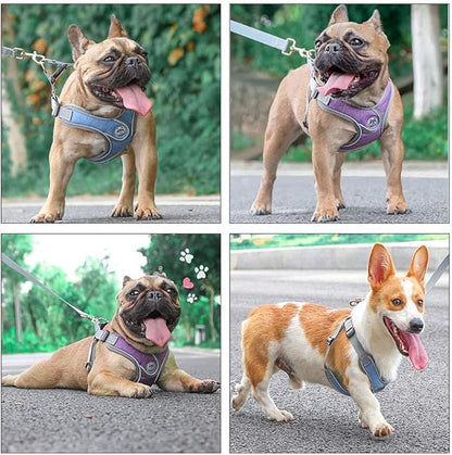 Step-in Dog Harness, Adjustable Reflective Small Dog Harness and Leash Set, Soft Air Mesh Vest Kit for Small Medium Breed Puppy and Cats