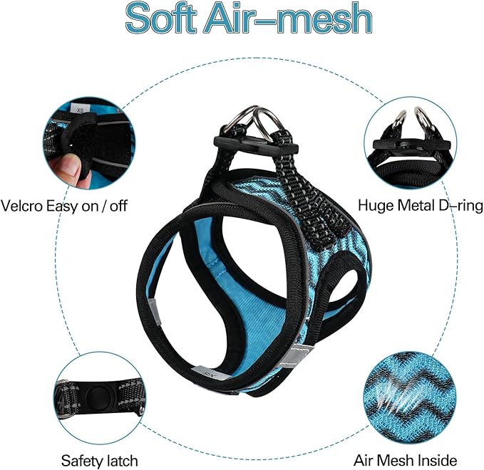 Dog Harness (XS, Blue) for Small Dogs, Lightweight Harness & Leash Set, Adjustable, Reflective, Breathable, 360°Visibility, Playful Style