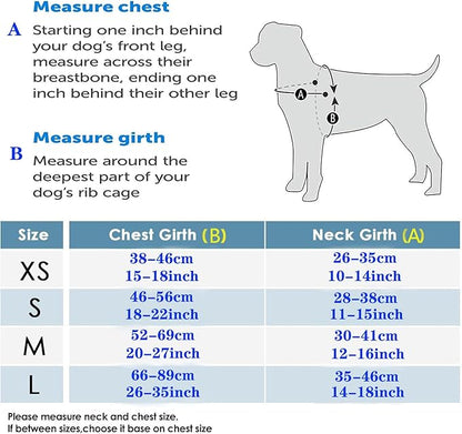 No Pull Dog Harness for Small, Medium, and Large Pets - Floral Pattern Nylon Safety Training Dog Harness (L, Hornflower)