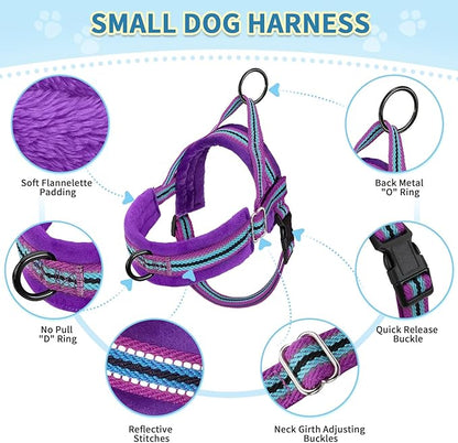 SlowTon No Pull Small Dog Harness and Leash Set, Puppy Soft Vest Harness Neck & Chest Adjustable, Reflective Lightweight Harness & Anti-Twist Pet Lead Combo for Small Medium Dogs (PU-Front Clip, XS)
