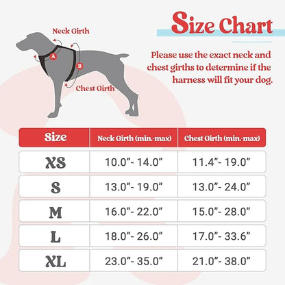 rabbitgoo Dog Harness, No-Pull Pet Harness with 2 Leash Clips, Adjustable Soft Padded Dog Vest, Reflective No-Choke Pet Oxford Vest with Easy Control Handle for Large Dogs, Red & Teal, M