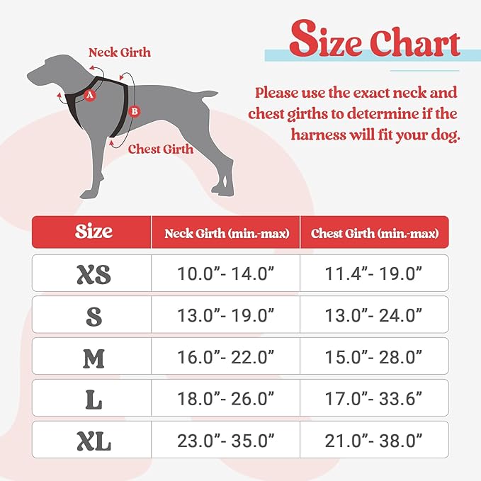 rabbitgoo Dog Harness, No-Pull Pet Harness with 2 Leash Clips, Adjustable Soft Padded Dog Vest, Reflective No-Choke Pet Oxford Vest with Easy Control Handle for Large Dogs, Red & Teal, X-Small