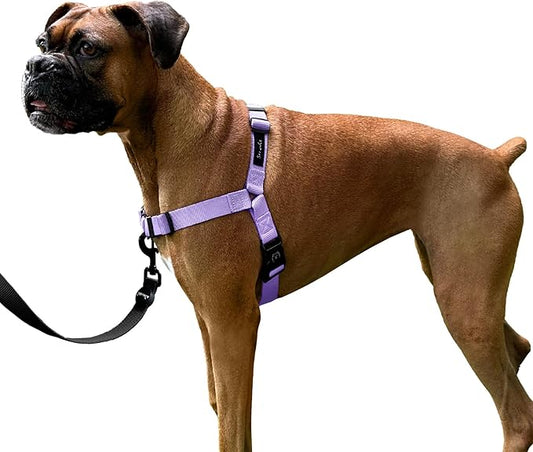 ShawnCo Dream Walk No-Pull Dog Harness- Adjustable, Comfortable, Easy to Use Pet Halter to Help Stop Pulling for Small, Medium and Large Dogs (ICY Lilac, S)