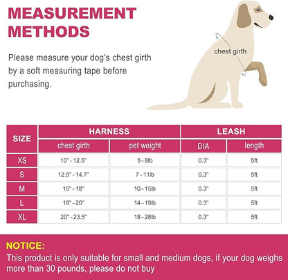 haapaw Dog Harness with Leash Set, No Pull Adjustable Reflective Step-in Puppy Harness with Thickened Padded Vest for Extra-Small/Small Medium Dogs