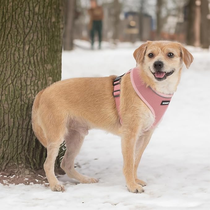 Voyager Aerolite No Pull Mesh Dog Harness with Lightweight, Soft, Breathable, Reflective Stitching, and Adjustable Straps for Walking, Running, Training, Heavy Duty and Durable - Pink, S