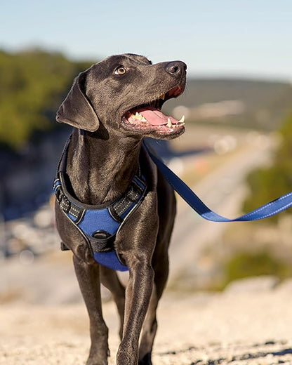 Joytale No Pull Dog Harness Medium Sized Dog, Reflective Pet Vest with Front Clip, Adjustable Soft Padded Harnesses with Easy Control Handle for Training and Walking, Navy Blue, M