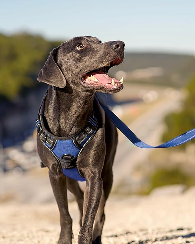 Joytale No Pull Dog Harness Medium Sized Dog, Reflective Pet Vest with Front Clip, Adjustable Soft Padded Harnesses with Easy Control Handle for Training and Walking, Navy Blue, M