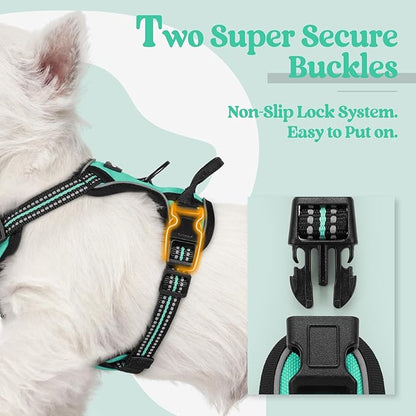 rabbitgoo Dog Harness, No-Pull Pet Harness with 2 Leash Clips, Adjustable Soft Padded Dog Vest, Reflective No-Choke Pet Oxford Vest with Easy Control Handle for Small Dogs, Turquoise, XS