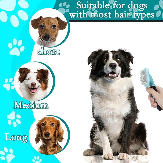 Pet Grooming Brush, Dog and Cat Hair Brush, Blue, Plastic, 4.8 Ounce, Small, All Ages, Unisex, Cats, Dogs