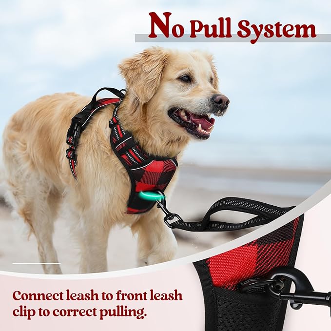 rabbitgoo Dog Harness Small Sized Dog No Pull, Comfortable Padded Plaid Dog Harness with Handle Easy Control, Adjustable Reflective Puppy Pet Harness Vest with 2 Leash Clips, Red Plaid, S