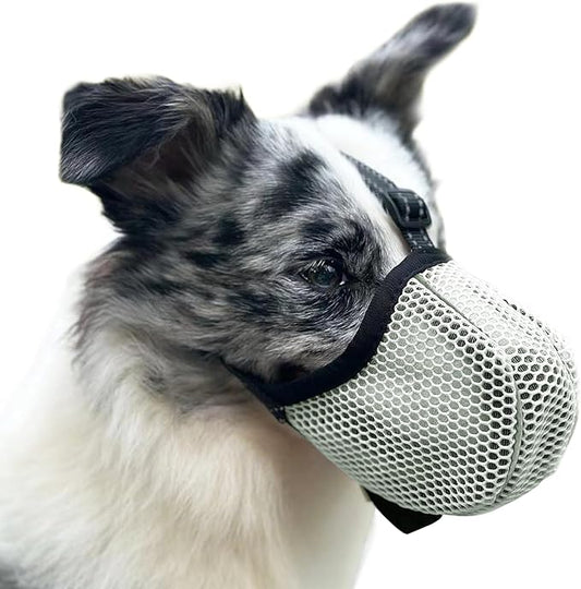 Large Dog Muzzle, Muzzle for Large Dogs to Prevent Eating/Chewing/Biting, Breathable Reflective Adjustable Medium Dog Accessories Dog Muzzle (Green, M)